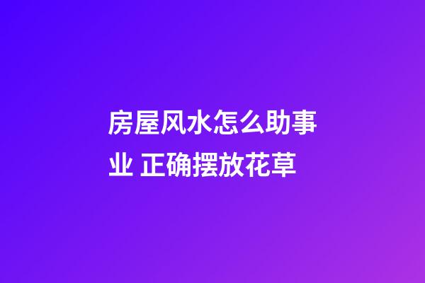 房屋风水怎么助事业 正确摆放花草